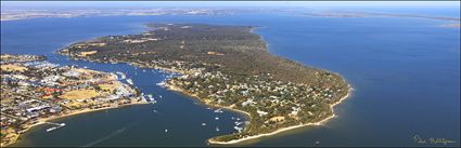 Raymond Island - VIC (PBH4 00 11529)